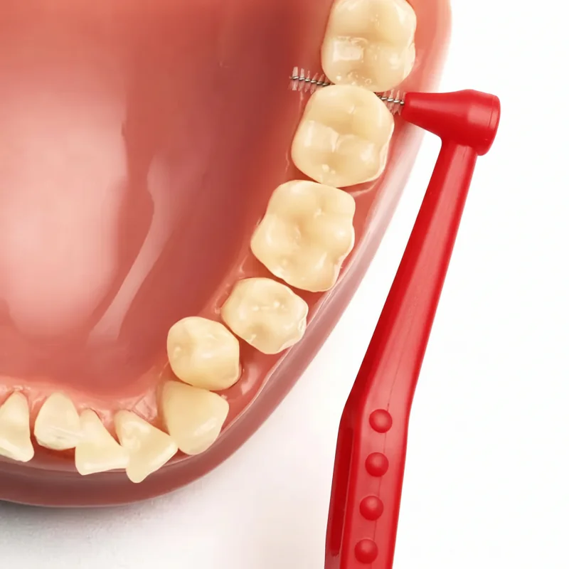 Red L‑shaped interdental brush demonstrating cleaning between teeth on dental model